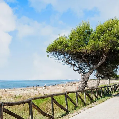 Great Flat In A With Garden *