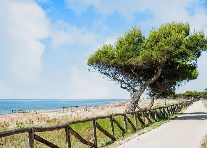 Great Flat In A With Garden *